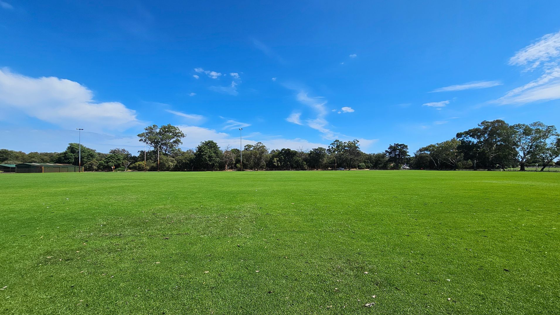 A wide expanse of green grass stretches across the foreground. In the background, there are several trees and a few tall light poles. To the left, a green building is partially visible, surrounded by more trees. The sky is clear with a few scattered clouds. A wide expanse of green grass stretches across the foreground. In the background, there are several trees and a few tall light poles. To the left, a green building is partially visible, surrounded by more trees. The sky is clear with a few scattered clouds.