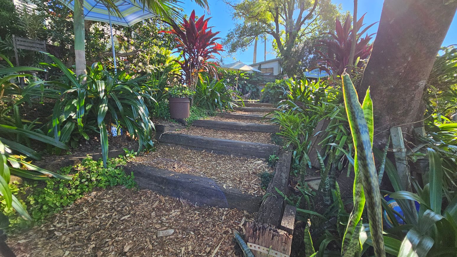 A garden path with wooden steps leads upwards, surrounded by lush greenery and various plants. On the left, a large plant with broad leaves is visible, and a striped umbrella provides shade. On the right, a tall tree trunk and more foliage are present. In the background, a house is partially visible through the trees, and another umbrella is seen. The ground is covered with wood chips and leaves. A garden path with wooden steps leads upwards, surrounded by lush greenery and various plants. On the left, a large plant with broad leaves is visible, and a striped umbrella provides shade. On the right, a tall tree trunk and more foliage are present. In the background, a house is partially visible through the trees, and another umbrella is seen. The ground is covered with wood chips and leaves.