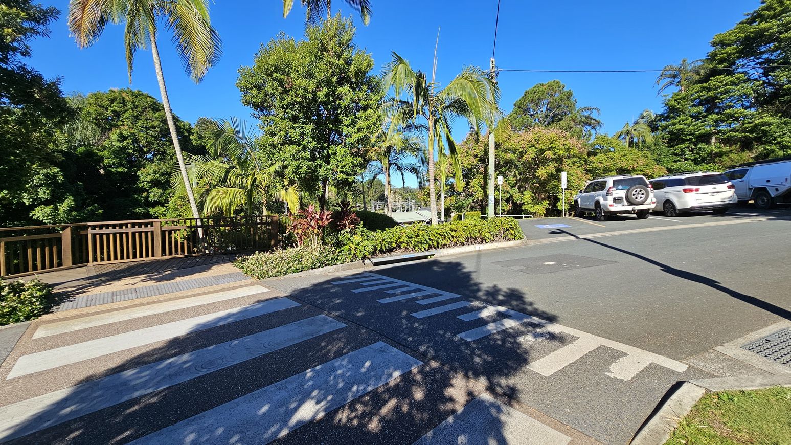 A zebra crossing leads to a wooden fence on the left, surrounded by lush greenery and tall palm trees. In the centre, a variety of plants and trees create a dense, tropical atmosphere. On the right, several white vehicles are parked along the road, with more greenery in the background. The road surface is smooth, and the shadows of trees are cast across the crossing. A zebra crossing leads to a wooden fence on the left, surrounded by lush greenery and tall palm trees. In the centre, a variety of plants and trees create a dense, tropical atmosphere. On the right, several white vehicles are parked along the road, with more greenery in the background. The road surface is smooth, and the shadows of trees are cast across the crossing.