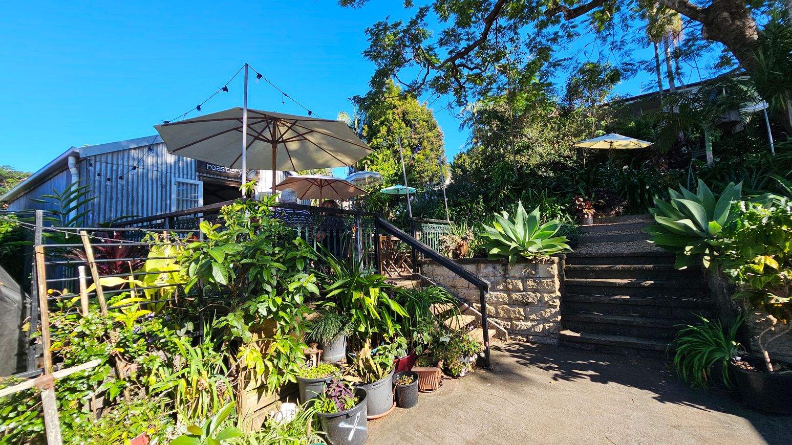 A garden setting with a stone staircase leading upwards, flanked by lush green plants in pots. On the left, a wooden structure with a sign reading "roastery" is visible. Several large umbrellas provide shade over outdoor seating areas. String lights are strung above, and a large tree with spreading branches is in the background. The ground is paved, and the area is surrounded by dense foliage. A garden setting with a stone staircase leading upwards, flanked by lush green plants in pots. On the left, a wooden structure with a sign reading "roastery" is visible. Several large umbrellas provide shade over outdoor seating areas. String lights are strung above, and a large tree with spreading branches is in the background. The ground is paved, and the area is surrounded by dense foliage.