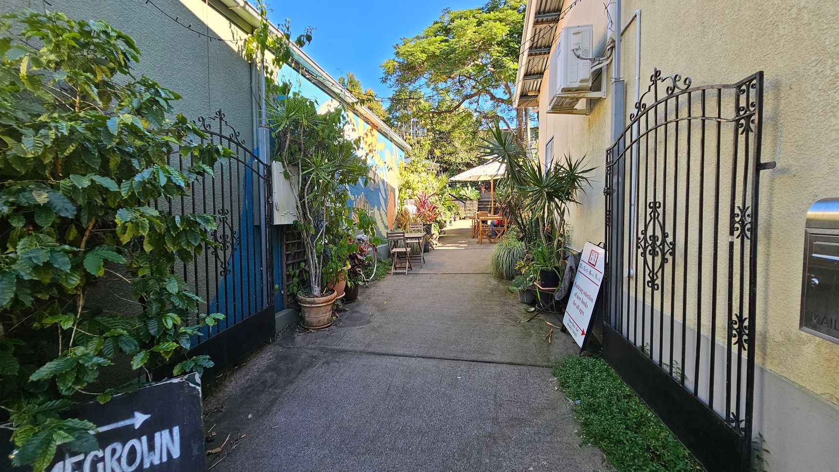 A narrow alleyway with a concrete path leads to a seating area with tables and chairs under a large umbrella. On the left, a grey wall with a mural is partially covered by lush green plants in pots. On the right, a beige wall features an air conditioning unit and a sign. Black wrought iron gates are open on both sides. In the background, a large tree provides shade. A small sign on the left points towards "Homegrown." A narrow alleyway with a concrete path leads to a seating area with tables and chairs under a large umbrella. On the left, a grey wall with a mural is partially covered by lush green plants in pots. On the right, a beige wall features an air conditioning unit and a sign. Black wrought iron gates are open on both sides. In the background, a large tree provides shade. A small sign on the left points towards "Homegrown."