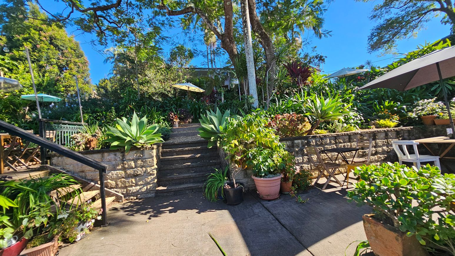 A garden scene with a stone staircase in the centre, flanked by lush green plants and large agave. The foreground has a paved area with potted plants and a wooden table with chairs under a large umbrella on the right. On the left, a metal railing follows the steps. In the background, tall trees and more greenery create a dense, natural setting. A garden scene with a stone staircase in the centre, flanked by lush green plants and large agave. The foreground has a paved area with potted plants and a wooden table with chairs under a large umbrella on the right. On the left, a metal railing follows the steps. In the background, tall trees and more greenery create a dense, natural setting.