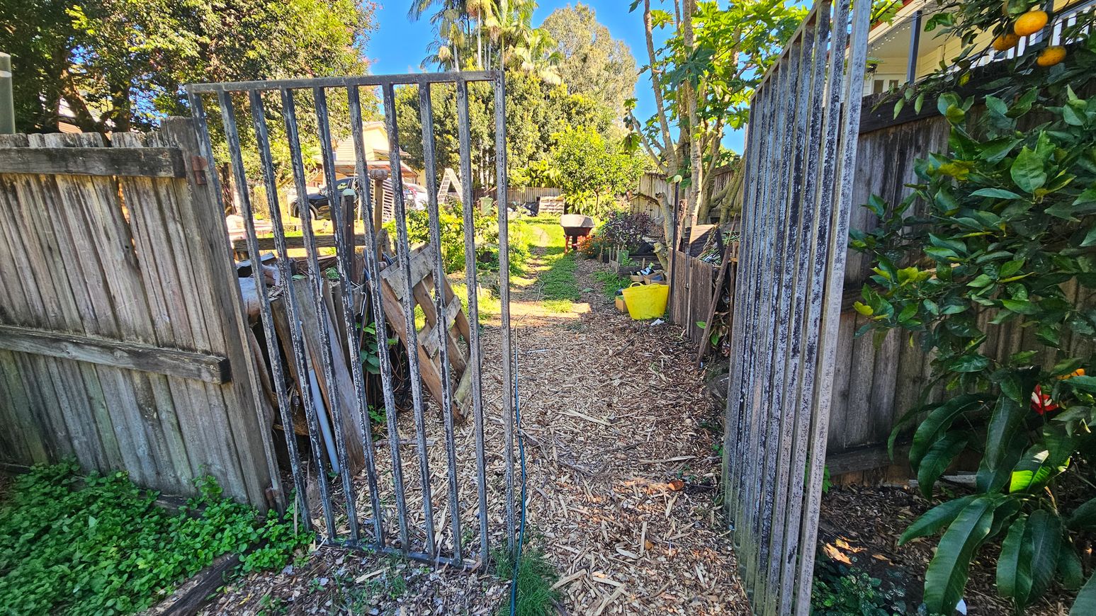 A garden path with wood chip flooring leads through an open metal gate. On the left, a wooden fence and some greenery are visible. On the right, a similar fence is partially covered by leafy plants with some fruit. In the background, there are various plants, trees, and a wheelbarrow. A house is partially visible on the right side. A garden path with wood chip flooring leads through an open metal gate. On the left, a wooden fence and some greenery are visible. On the right, a similar fence is partially covered by leafy plants with some fruit. In the background, there are various plants, trees, and a wheelbarrow. A house is partially visible on the right side.