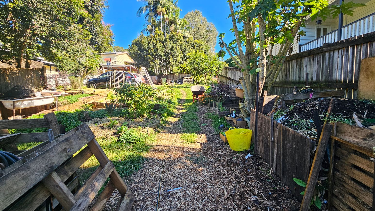 A garden with a woodchip path running down the centre, flanked by various plants and trees. On the left, there are wooden pallets and a wheelbarrow. On the right, a compost area with a yellow bucket and more plants. A wooden fence runs along the right side. In the background, a house and parked cars are visible, with tall trees and a clear blue sky above. A garden with a woodchip path running down the centre, flanked by various plants and trees. On the left, there are wooden pallets and a wheelbarrow. On the right, a compost area with a yellow bucket and more plants. A wooden fence runs along the right side. In the background, a house and parked cars are visible, with tall trees and a clear blue sky above.