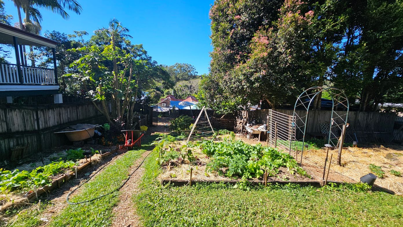 A garden with a variety of plants growing in raised beds, surrounded by a grassy path. On the left, a wooden fence and a house with a veranda are visible. A wheelbarrow and some gardening tools are near the fence. In the centre, a wooden A-frame structure stands among the plants. On the right, a metal archway and more garden beds are present. Tall trees with dense foliage are in the background, and a few rooftops can be seen beyond the garden. A garden with a variety of plants growing in raised beds, surrounded by a grassy path. On the left, a wooden fence and a house with a veranda are visible. A wheelbarrow and some gardening tools are near the fence. In the centre, a wooden A-frame structure stands among the plants. On the right, a metal archway and more garden beds are present. Tall trees with dense foliage are in the background, and a few rooftops can be seen beyond the garden.