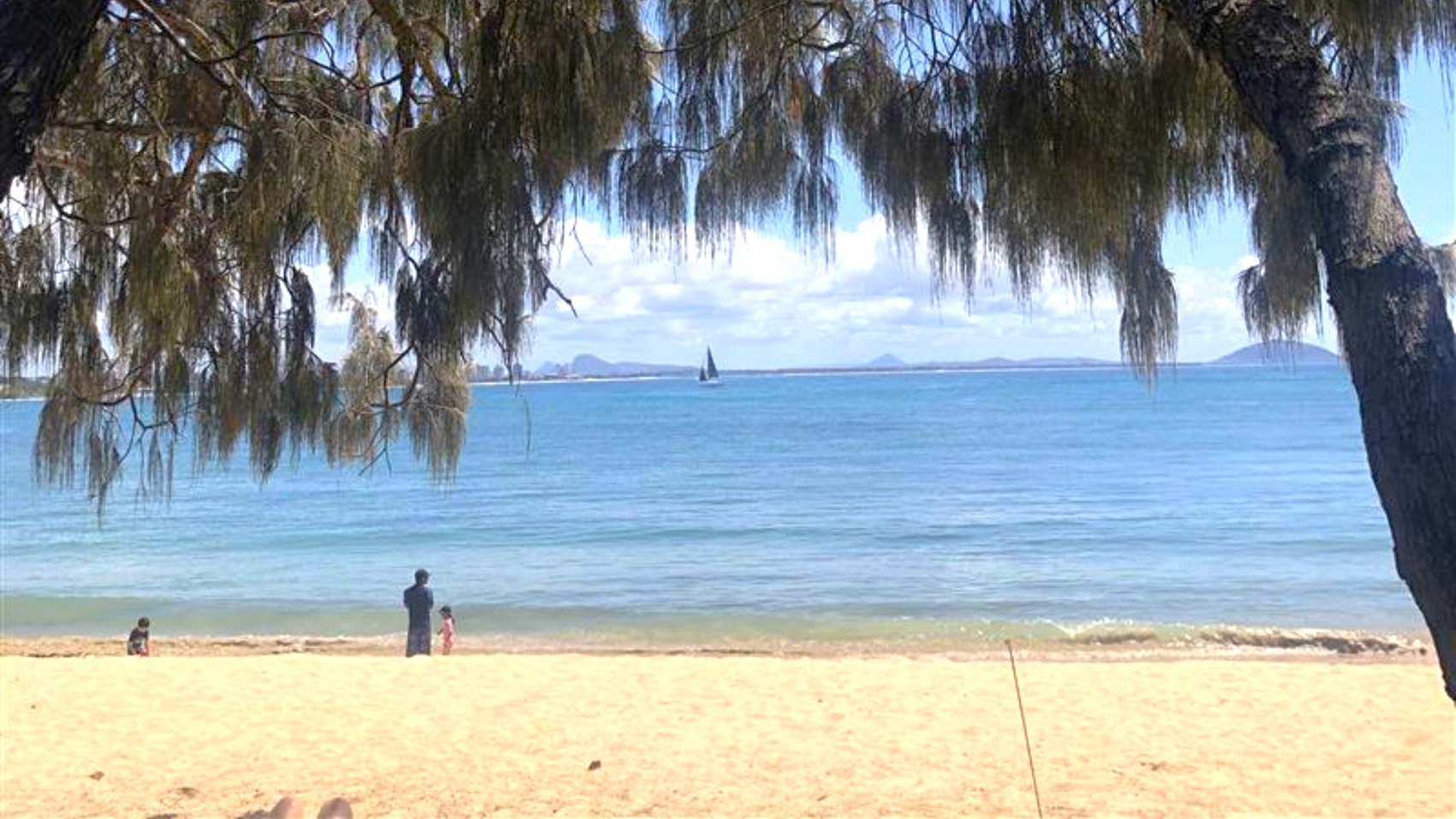 Sandy beach in the foreground with two children and an adult near the water's edge. Calm blue sea stretches across the middle, with a small sailboat visible in the distance. The background features a distant shoreline with low hills. Overhanging tree branches with sparse leaves frame the top of the image, providing partial shade. Sandy beach in the foreground with two children and an adult near the water's edge. Calm blue sea stretches across the middle, with a small sailboat visible in the distance. The background features a distant shoreline with low hills. Overhanging tree branches with sparse leaves frame the top of the image, providing partial shade.