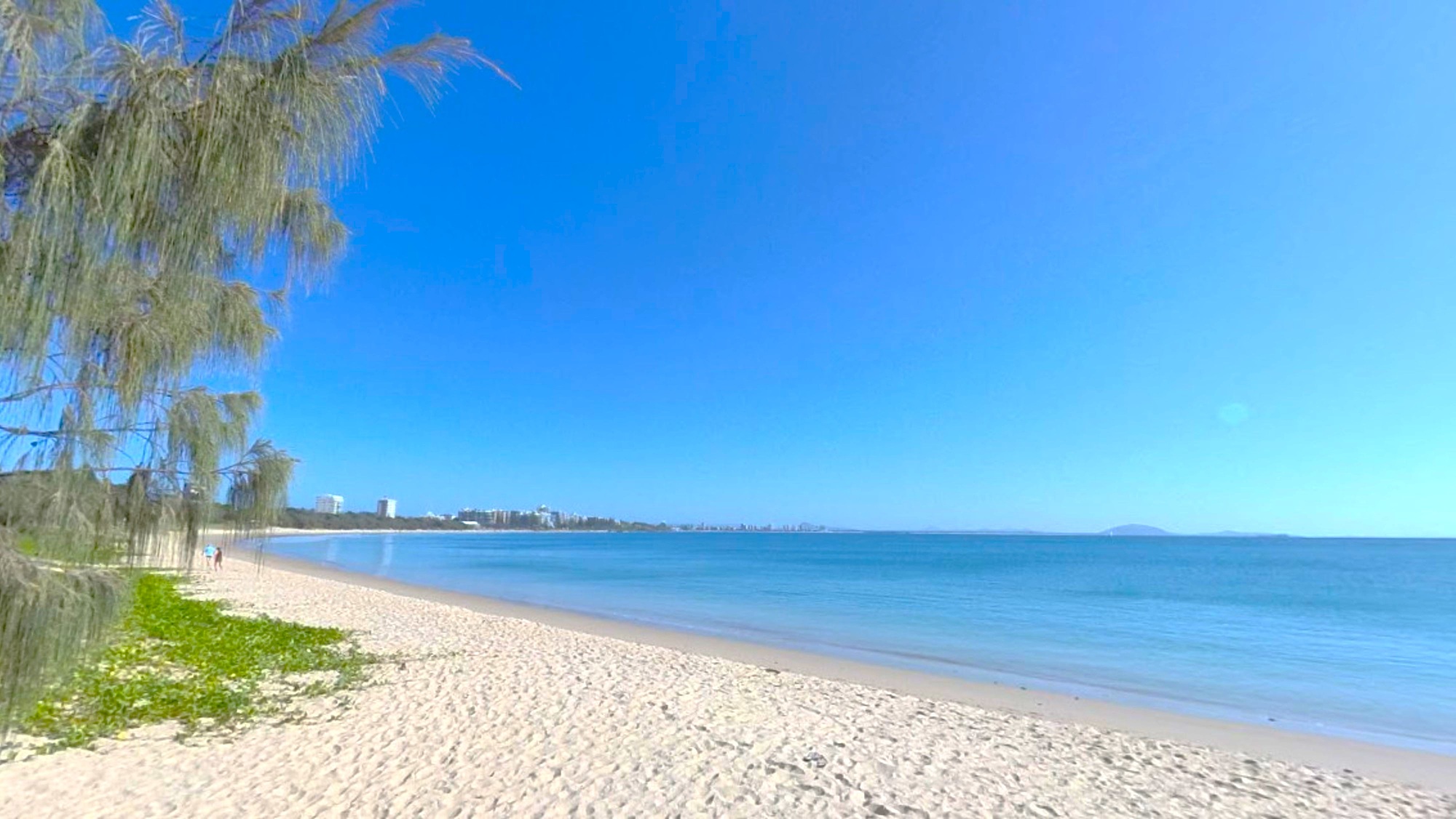 Sandy beach with gentle waves on the right. Sparse greenery and a tree with long, thin branches on the left. A few people walking in the distance. City skyline visible on the horizon. Sandy beach with gentle waves on the right. Sparse greenery and a tree with long, thin branches on the left. A few people walking in the distance. City skyline visible on the horizon.