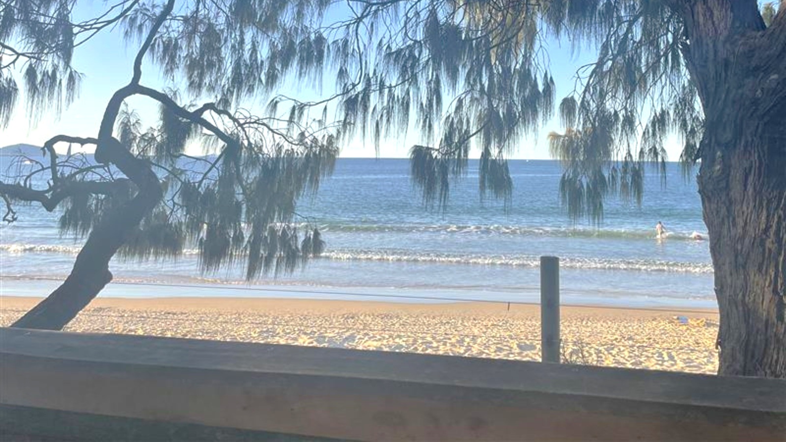 A sandy beach with gentle waves in the background. Two people are visible in the water. In the foreground, a wooden fence runs horizontally, partially obscured by a tree with long, hanging branches. The tree is on the right, with its branches extending across the image. The sky is clear, and the scene is framed by the tree's foliage. A sandy beach with gentle waves in the background. Two people are visible in the water. In the foreground, a wooden fence runs horizontally, partially obscured by a tree with long, hanging branches. The tree is on the right, with its branches extending across the image. The sky is clear, and the scene is framed by the tree's foliage.