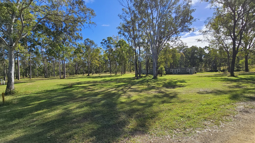 A grassy field with scattered tall trees, casting shadows on the ground. In the background, more trees form a dense line, and a structure is partially visible on the left side. The sky is clear with a few clouds. A grassy field with scattered tall trees, casting shadows on the ground. In the background, more trees form a dense line, and a structure is partially visible on the left side. The sky is clear with a few clouds.