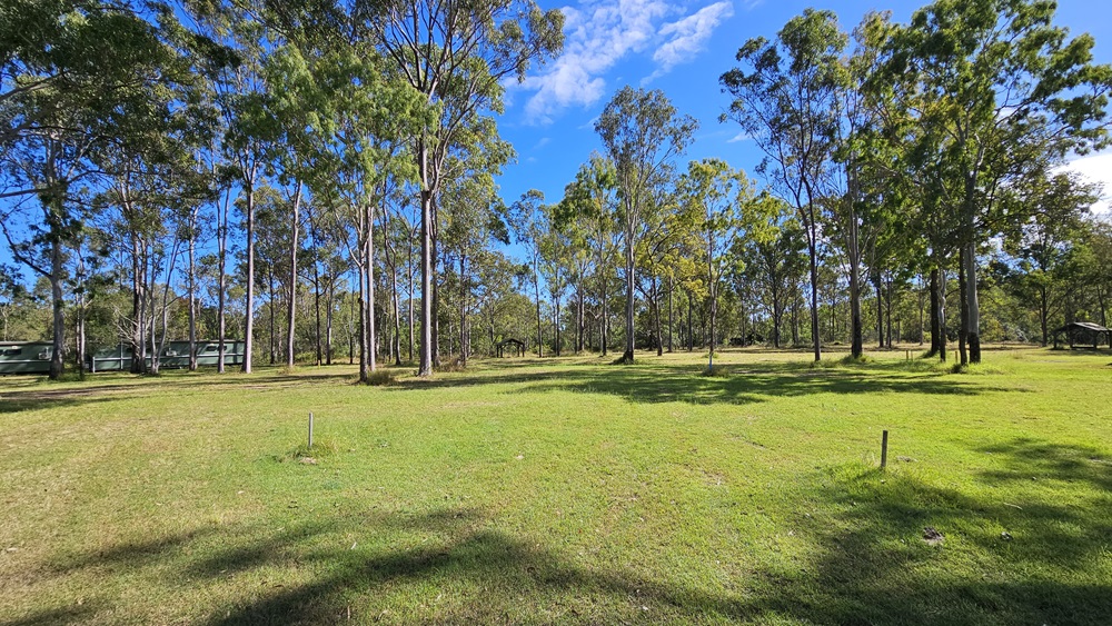 A grassy field with scattered tall trees, casting shadows on the ground. In the background, more trees form a dense line, and a structure is partially visible on the left side. The sky is clear with a few clouds. A grassy field with scattered tall trees, casting shadows on the ground. In the background, more trees form a dense line, and a structure is partially visible on the left side. The sky is clear with a few clouds.