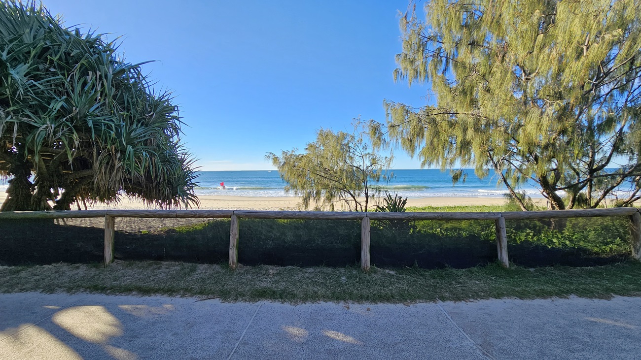 On the left, there is a large tree with thick, spiky leaves. In the middle, there is a wooden fence with a black mesh barrier, and beyond it, a sandy beach with the ocean in the background. On the right, there is another tree with thin, wispy branches. The floor is a mix of concrete and grass, and the foreground has concrete and grass. On the left, there is a large tree with thick, spiky leaves. In the middle, there is a wooden fence with a black mesh barrier, and beyond it, a sandy beach with the ocean in the background. On the right, there is another tree with thin, wispy branches. The floor is a mix of concrete and grass, and the foreground has concrete and grass.