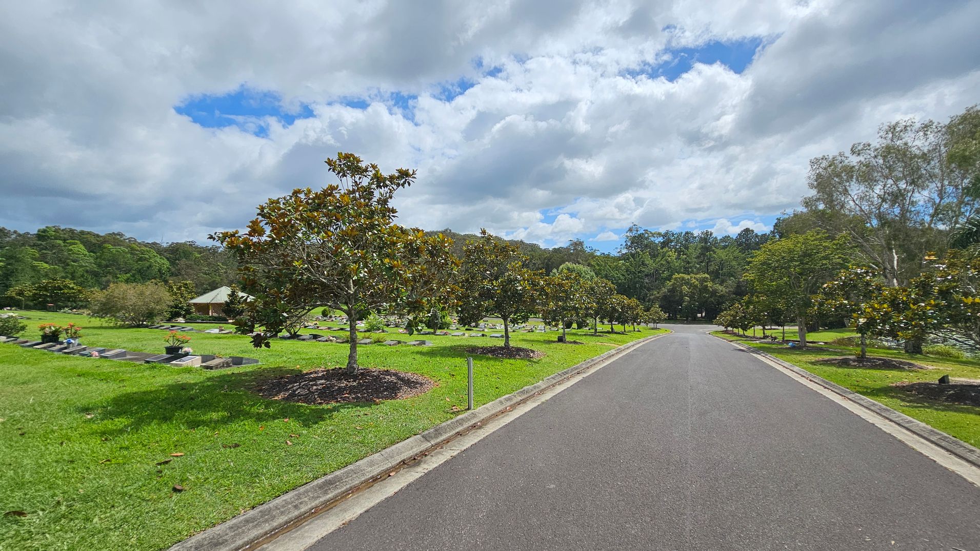 A paved road runs through the centre, flanked by neatly trimmed grass and rows of small trees. On the left, there are gravestones and flower arrangements scattered across the lawn. A small building with a sloped roof is visible in the background. On the right, more trees line the road, with dense forest in the distance. The scene is calm and orderly, with a mix of open space and greenery. A paved road runs through the centre, flanked by neatly trimmed grass and rows of small trees. On the left, there are gravestones and flower arrangements scattered across the lawn. A small building with a sloped roof is visible in the background. On the right, more trees line the road, with dense forest in the distance. The scene is calm and orderly, with a mix of open space and greenery.