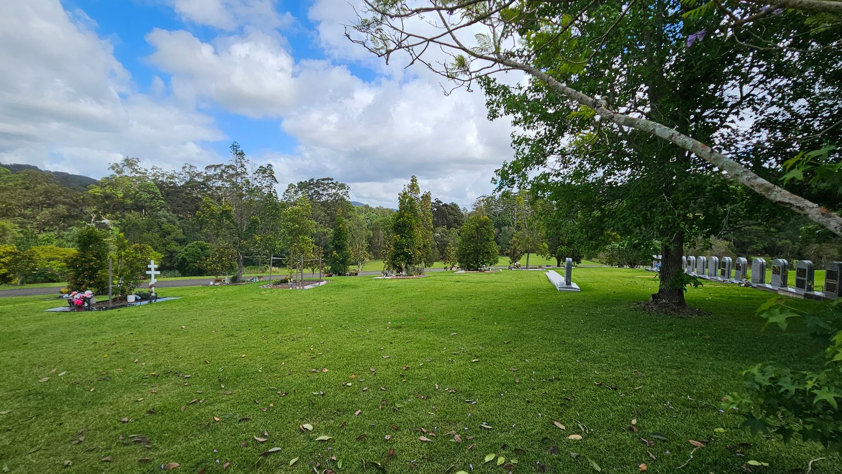 A cemetery with a well-maintained grassy area. On the left, there are several graves with flowers and a white cross. In the middle, young trees are evenly spaced, and a paved path runs through the area. On the right, a row of headstones is visible beneath a large tree with dense foliage. The background features a forested area with various trees. A cemetery with a well-maintained grassy area. On the left, there are several graves with flowers and a white cross. In the middle, young trees are evenly spaced, and a paved path runs through the area. On the right, a row of headstones is visible beneath a large tree with dense foliage. The background features a forested area with various trees.