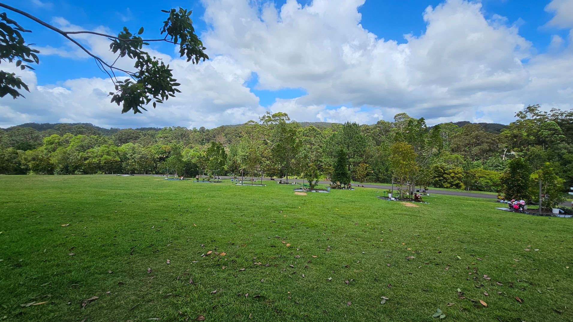 A vast green lawn stretches across the foreground, dotted with a few scattered leaves. In the middle, there are several small trees and shrubs, with some floral arrangements visible. A paved path runs horizontally, separating the lawn from a dense line of trees in the background. The sky is partly cloudy, with a few branches hanging down from the top left corner. A vast green lawn stretches across the foreground, dotted with a few scattered leaves. In the middle, there are several small trees and shrubs, with some floral arrangements visible. A paved path runs horizontally, separating the lawn from a dense line of trees in the background. The sky is partly cloudy, with a few branches hanging down from the top left corner.