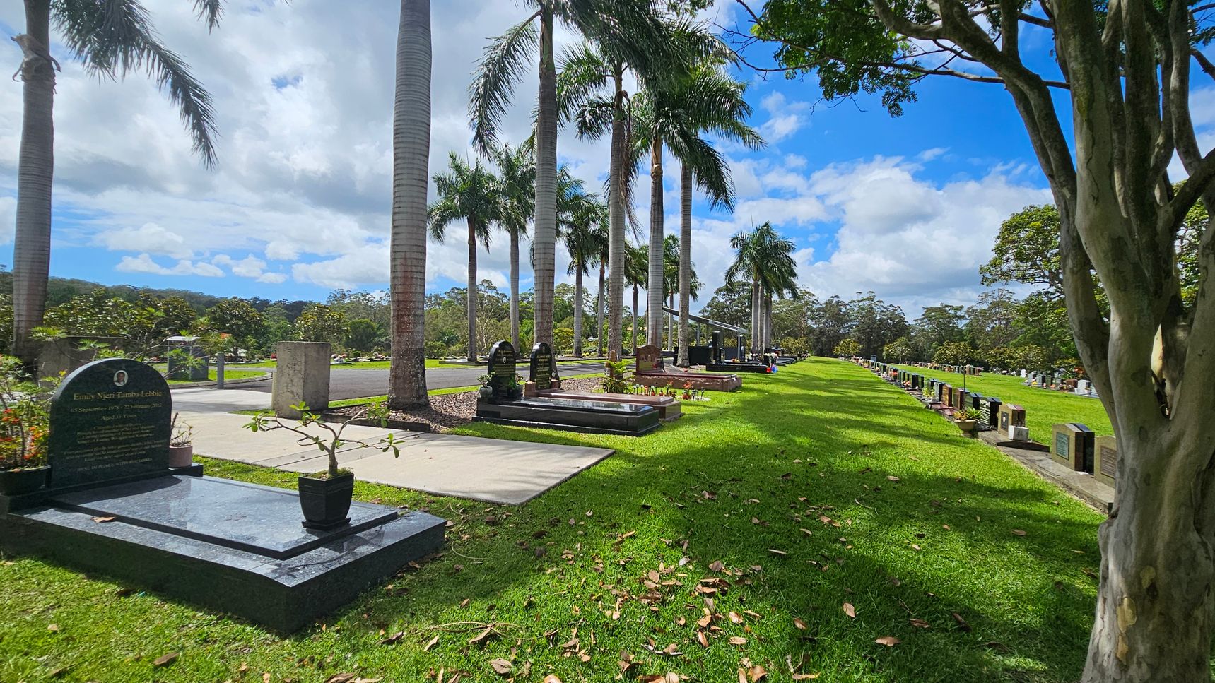 A cemetery with neatly arranged gravestones on both sides of a paved path. Tall palm trees line the path, casting shadows on the well-maintained green grass. A large tree is on the right, and smaller trees and shrubs are scattered throughout the background. The gravestones vary in size and design, with some featuring small potted plants. A cemetery with neatly arranged gravestones on both sides of a paved path. Tall palm trees line the path, casting shadows on the well-maintained green grass. A large tree is on the right, and smaller trees and shrubs are scattered throughout the background. The gravestones vary in size and design, with some featuring small potted plants.