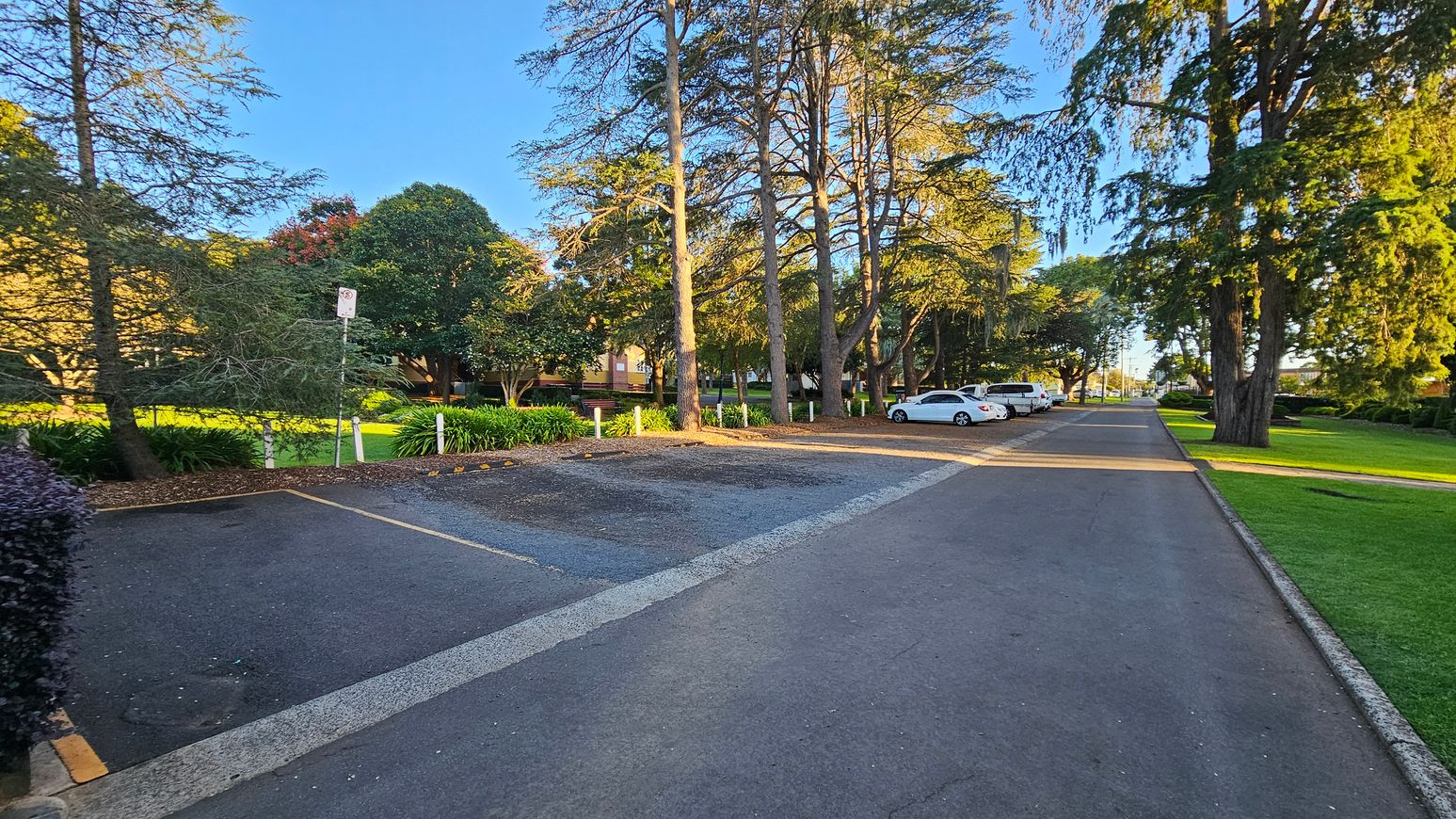 A paved road runs through the centre, flanked by tall trees on both sides. On the left, there's a small parking area with a no-parking sign and lush green grass beyond. On the right, several white cars are parked along the road, with more trees and a well-maintained grassy area. The sunlight casts long shadows, creating a serene atmosphere.