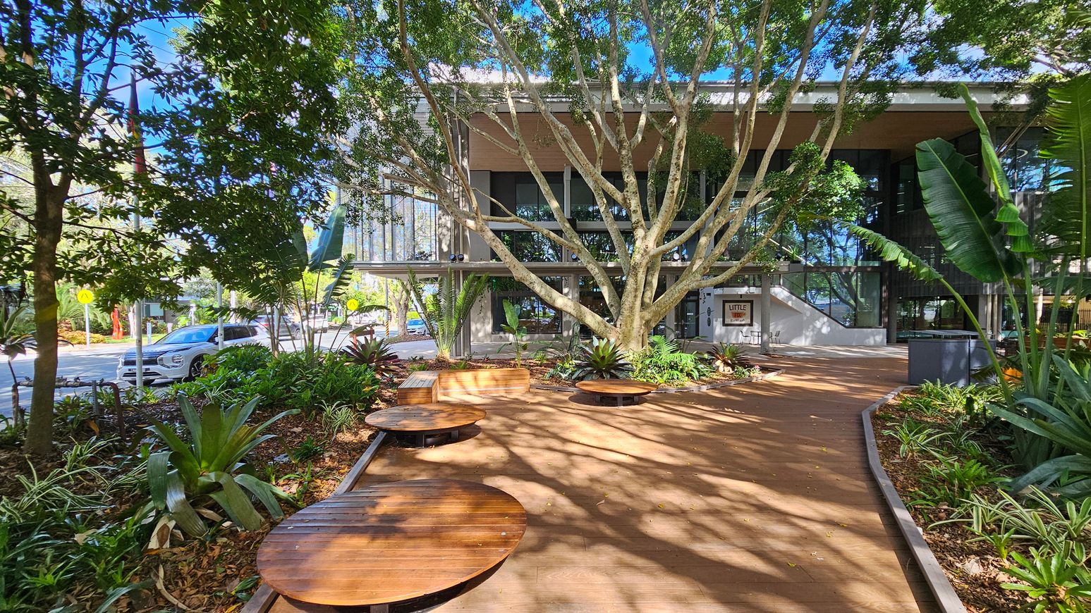 A modern building with large glass windows is in the background, partially obscured by a large tree with sprawling branches. In the foreground, there is a wooden deck with circular wooden benches. Lush greenery, including various plants and trees, surrounds the area. On the left, a road with a white car is visible, while on the right, more plants and a pathway can be seen. The scene is well-lit, suggesting a sunny day.