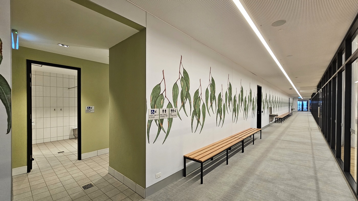 To the left of the corridor is an accessible bathroom with signage. White tiles cover the floor, while the wall is painted green and white with foliage decoration. The ceiling features a porous design with a strip of LED lighting. Bench chairs and drinking faucets are positioned against the wall, facing the glass enclosure of the stadium. To the left of the corridor is an accessible bathroom with signage. White tiles cover the floor, while the wall is painted green and white with foliage decoration. The ceiling features a porous design with a strip of LED lighting. Bench chairs and drinking faucets are positioned against the wall, facing the glass enclosure of the stadium.