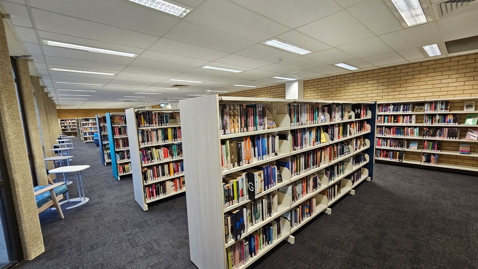 Bookshelves filled with books are arranged in rows in the middle of a library. On the left, there are small round tables with blue chairs along a windowed wall. The floor is carpeted in dark grey, and the ceiling is lined with fluorescent lights. The back wall is made of light-coloured bricks.