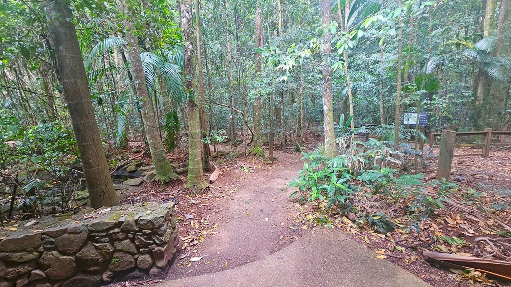 A forest path surrounded by dense trees and foliage. On the left, there's a low stone wall made of irregular rocks. The path is covered with fallen leaves and leads into the forest. On the right, a wooden fence and a sign are visible among the trees. The ground is earthy, and the area is lush with greenery, including ferns and other undergrowth.