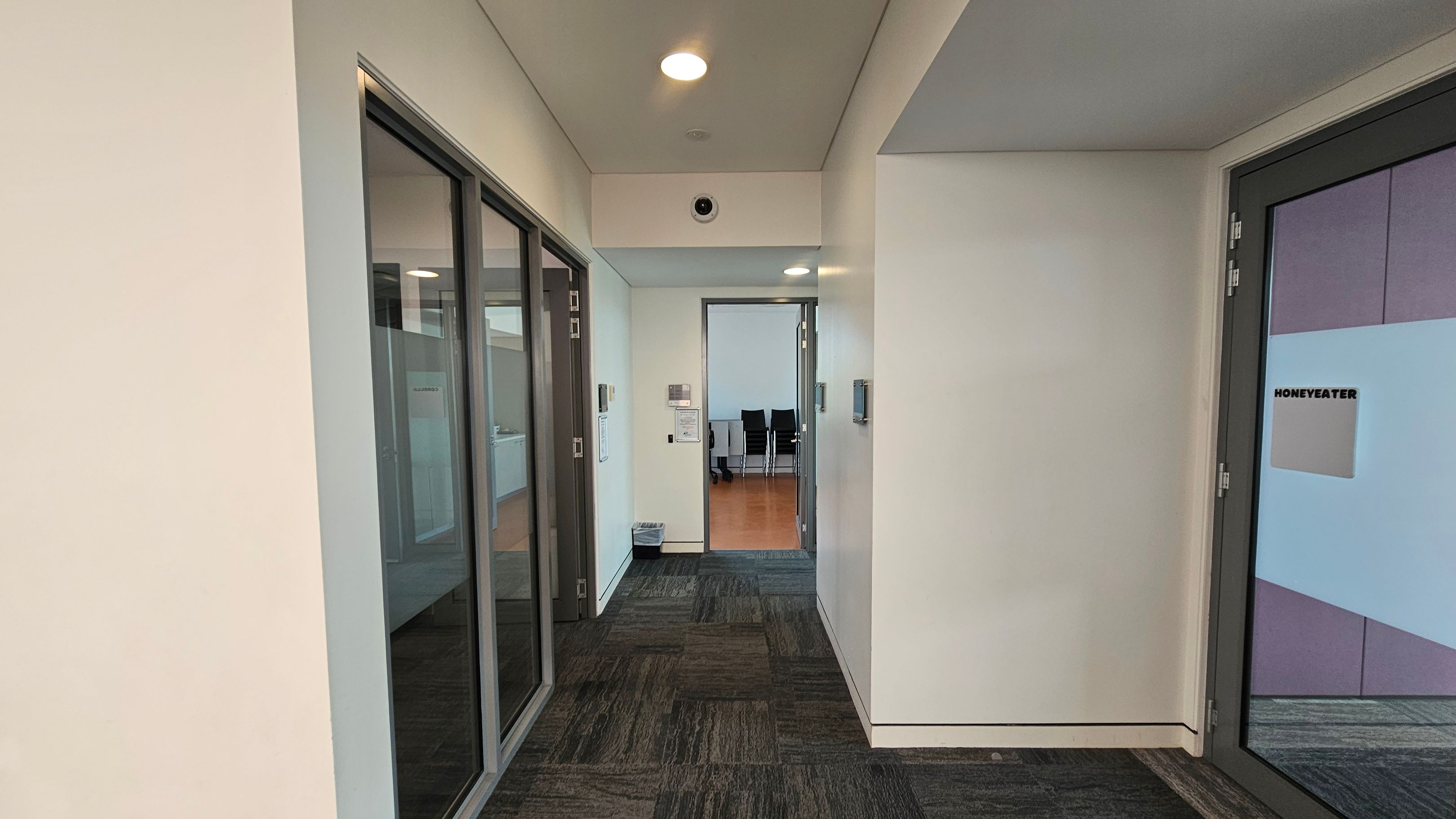 A corridor with a patterned carpet floor in shades of grey and green. On the left, there are glass doors with reflections. On the right, a door labelled "HONEYEATER" with a frosted glass panel. In the centre, an open doorway leads to a room with wooden flooring and black chairs. The ceiling is white with recessed lighting and a security camera above the doorway. Walls are light-coloured, and a small waste bin is visible near the centre doorway.