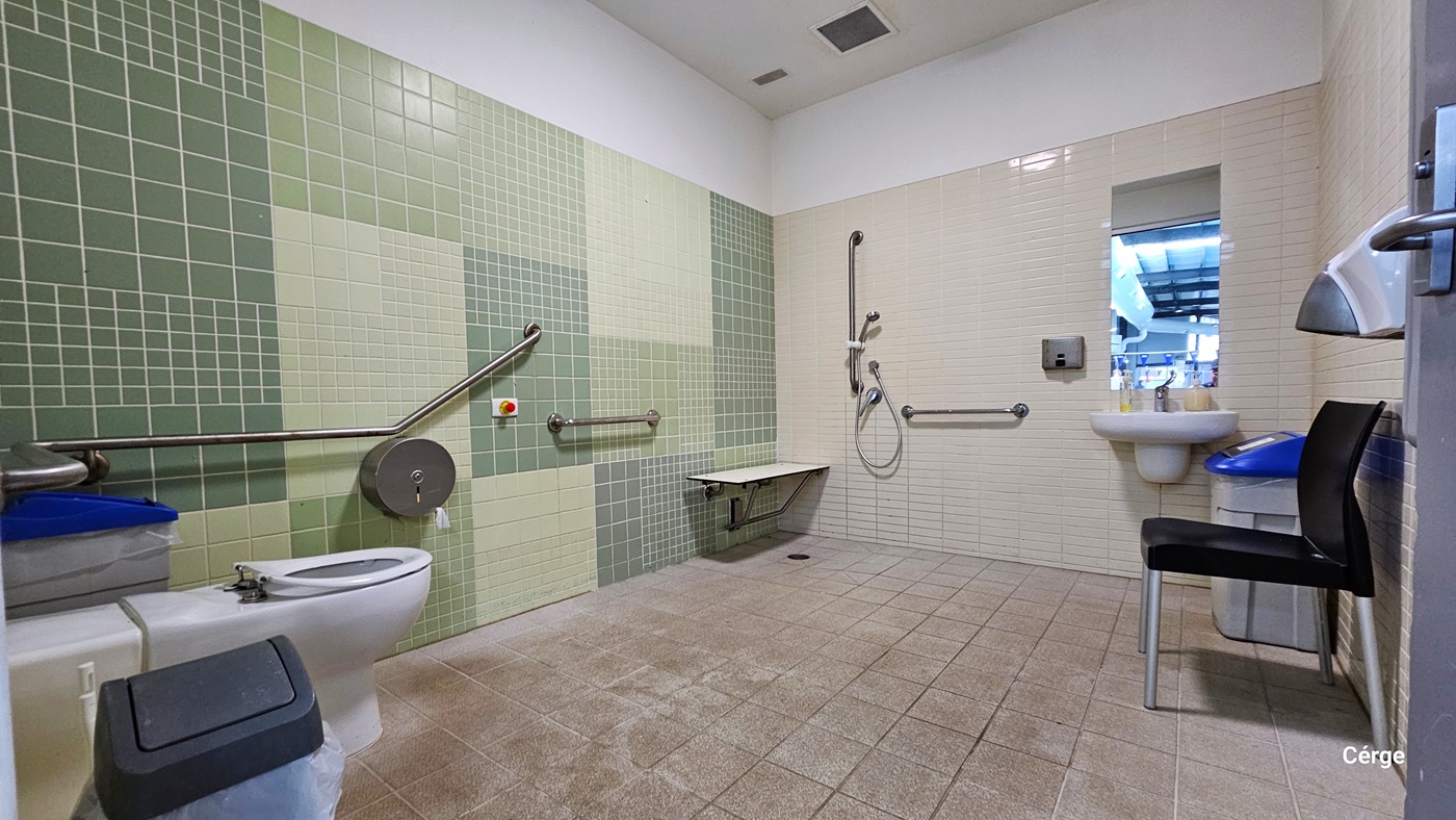 Inside the accessible change room is a green, beige, and white color tile wall scheme with brownstone tile floor. On the varying hues of the green tile wall are grab bars and a circular toilet paper dispenser. On each side of the toilet are grey garbage bins with blue lids, while the other is grey. On the beige tile wall to the back is a white shower seat, a handheld showerhead, a wash basin with a mirror, and another grey bin with a blue lid. On the right is a black plastic chair. Inside the accessible change room is a green, beige, and white color tile wall scheme with brownstone tile floor. On the varying hues of the green tile wall are grab bars and a circular toilet paper dispenser. On each side of the toilet are grey garbage bins with blue lids, while the other is grey. On the beige tile wall to the back is a white shower seat, a handheld showerhead, a wash basin with a mirror, and another grey bin with a blue lid. On the right is a black plastic chair.