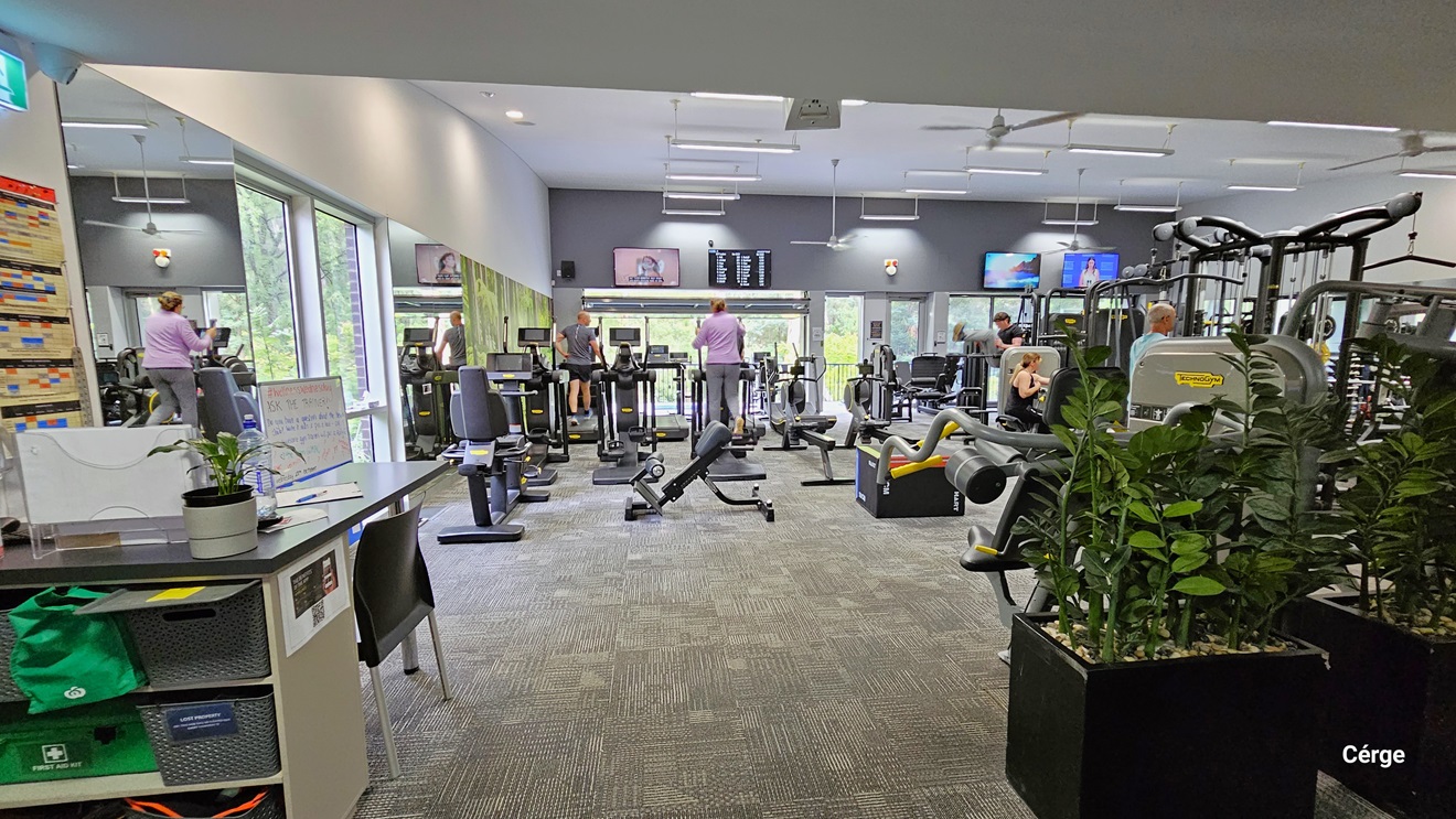 To the left is the Gym grey reception desk with a dirty white body frame. On the desk compartments are a green first aid kit bag and grey baskets. To the right are large square pots with green plants. The gym has a grey rubber mat floor and dark grey walls and ceiling. Squat racks, bench presses, smith machines, treadmills, barbells, and dumbbells are available. The left wall is a combination of a mirror, glass windows, and a nature painting. Mounted on the back wall are flat-screen TVs. To the left is the Gym grey reception desk with a dirty white body frame. On the desk compartments are a green first aid kit bag and grey baskets. To the right are large square pots with green plants. The gym has a grey rubber mat floor and dark grey walls and ceiling. Squat racks, bench presses, smith machines, treadmills, barbells, and dumbbells are available. The left wall is a combination of a mirror, glass windows, and a nature painting. Mounted on the back wall are flat-screen TVs.