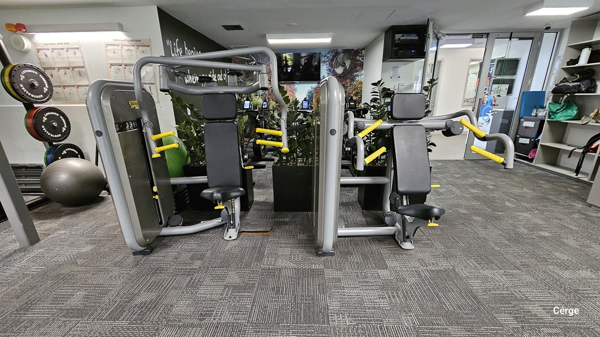 Behind the black square potted plants are two chest press machines with a gray frame, black padding, and yellow handles. On the left side are various colors of iron-weight plates and a grey yoga ball. On the white back wall are two graphics lit by rectangular lighting. On the right side is an open light grey cabinet for bags. Behind the black square potted plants are two chest press machines with a gray frame, black padding, and yellow handles. On the left side are various colors of iron-weight plates and a grey yoga ball. On the white back wall are two graphics lit by rectangular lighting. On the right side is an open light grey cabinet for bags.
