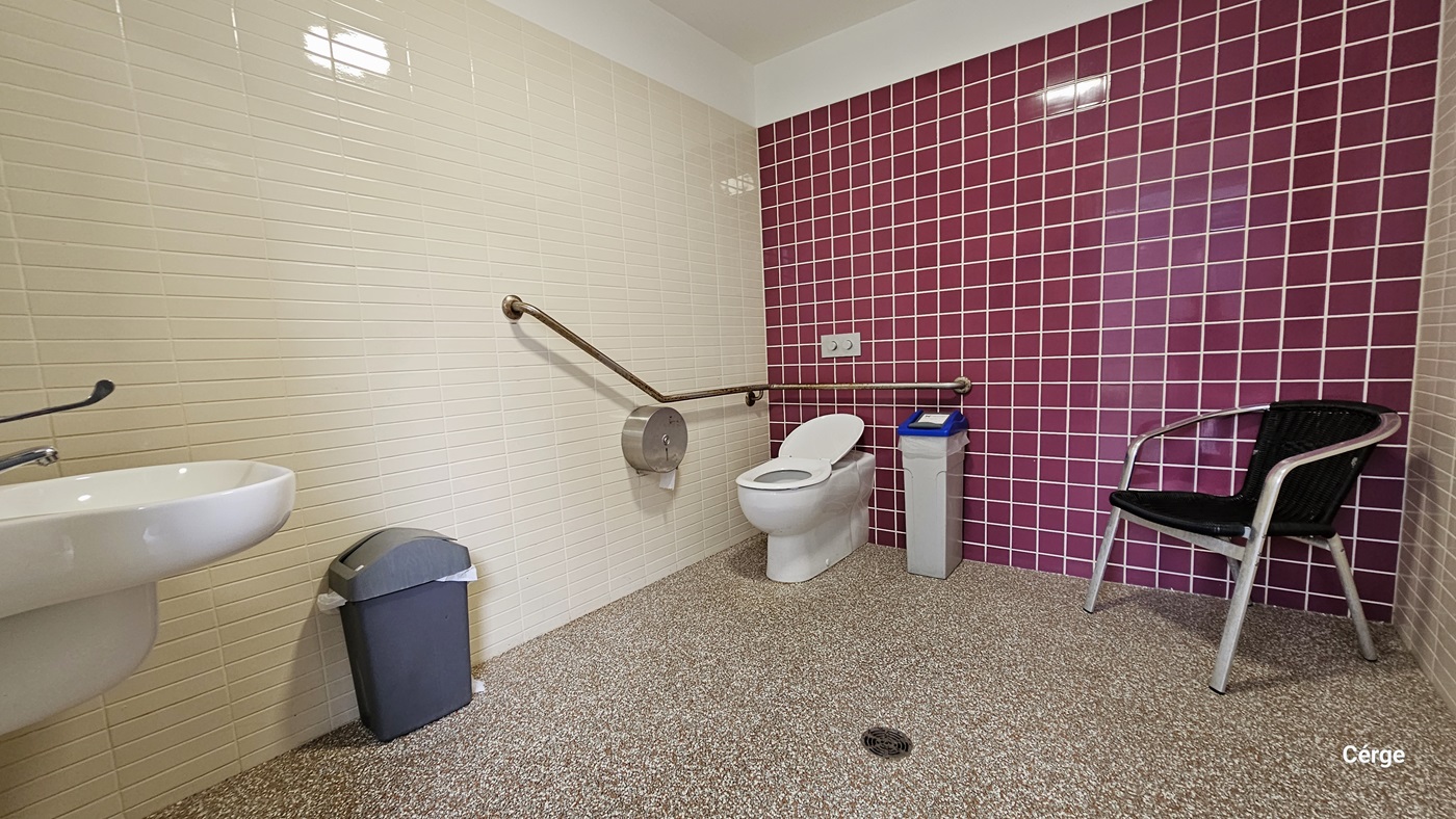 Inside the accessible bathroom located outside the gym. The bathroom has a dotted-like stone floor, a cream-white tile wall on each side, and a red tile wall to the back. A small white section separates the wall and the ceiling. On the left is a wash basin, a grey garbage bin, and a stainless steel tissue dispenser. Near the toilet are grab bars mounted on the wall. Beside the toilet is a small grey garbage bin with a blue lid. There is also a black chair with a stainless steel frame. Inside the accessible bathroom located outside the gym. The bathroom has a dotted-like stone floor, a cream-white tile wall on each side, and a red tile wall to the back. A small white section separates the wall and the ceiling. On the left is a wash basin, a grey garbage bin, and a stainless steel tissue dispenser. Near the toilet are grab bars mounted on the wall. Beside the toilet is a small grey garbage bin with a blue lid. There is also a black chair with a stainless steel frame.