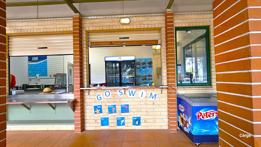 Front of the reception and kiosk at Murrumba Downs Swimming Pool. It has a rectangular glass window, a stainless steel countertop, and cream-colored roll-down shutters with light brown accents for the metal handle for easy access to the shutter. There is a light brown hat on top of the countertop. On the cream brick wall below the reception countertop is ‘GO SWIM’ and several blue graphics. On the right is a blue fridge with ice cream graphic design. Front of the reception and kiosk at Murrumba Downs Swimming Pool. It has a rectangular glass window, a stainless steel countertop, and cream-colored roll-down shutters with light brown accents for the metal handle for easy access to the shutter. There is a light brown hat on top of the countertop. On the cream brick wall below the reception countertop is ‘GO SWIM’ and several blue graphics. On the right is a blue fridge with ice cream graphic design.