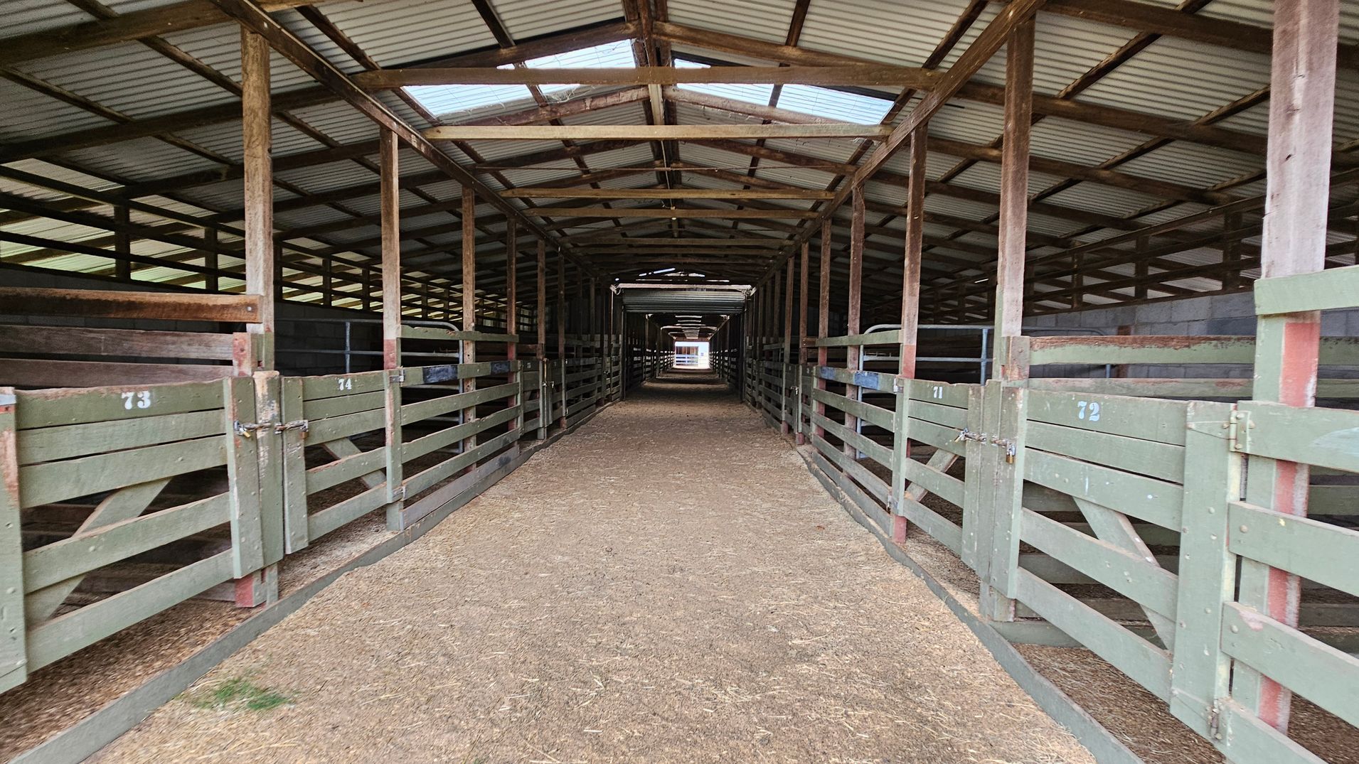 A long, covered walkway inside a stable or barn. Wooden gates with numbers are on both sides, leading to individual stalls. The floor is made of compacted dirt or straw. The ceiling is corrugated metal with wooden beams, allowing some light to filter through. The structure extends into the distance, creating a tunnel-like effect. A long, covered walkway inside a stable or barn. Wooden gates with numbers are on both sides, leading to individual stalls. The floor is made of compacted dirt or straw. The ceiling is corrugated metal with wooden beams, allowing some light to filter through. The structure extends into the distance, creating a tunnel-like effect.