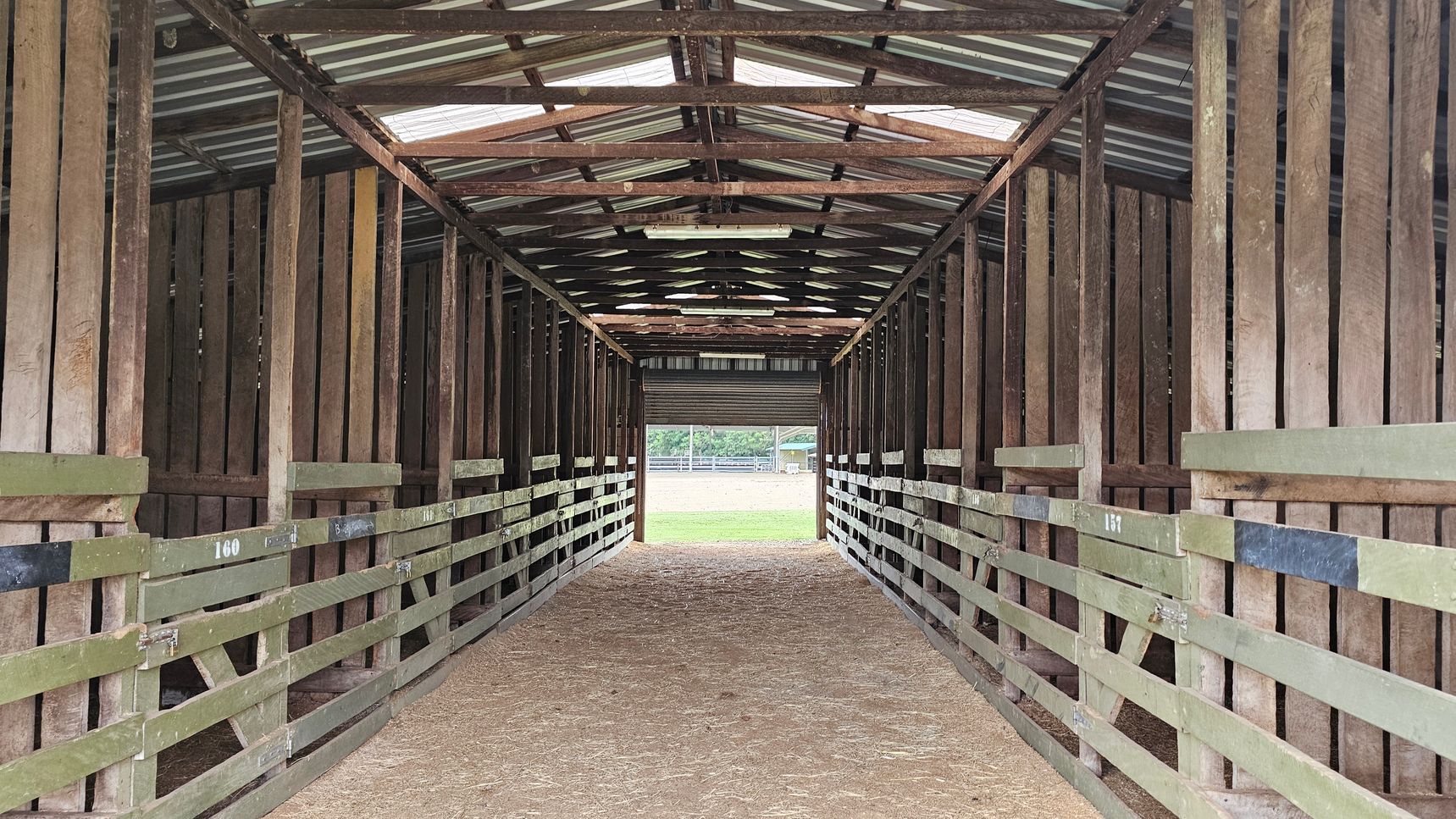A long, narrow barn interior with wooden slats on both sides, painted in green and brown. The floor is covered with straw, and the ceiling is made of corrugated metal with wooden beams. At the far end, there is an opening leading to a grassy area outside, with a glimpse of a fence and trees in the background. A long, narrow barn interior with wooden slats on both sides, painted in green and brown. The floor is covered with straw, and the ceiling is made of corrugated metal with wooden beams. At the far end, there is an opening leading to a grassy area outside, with a glimpse of a fence and trees in the background.