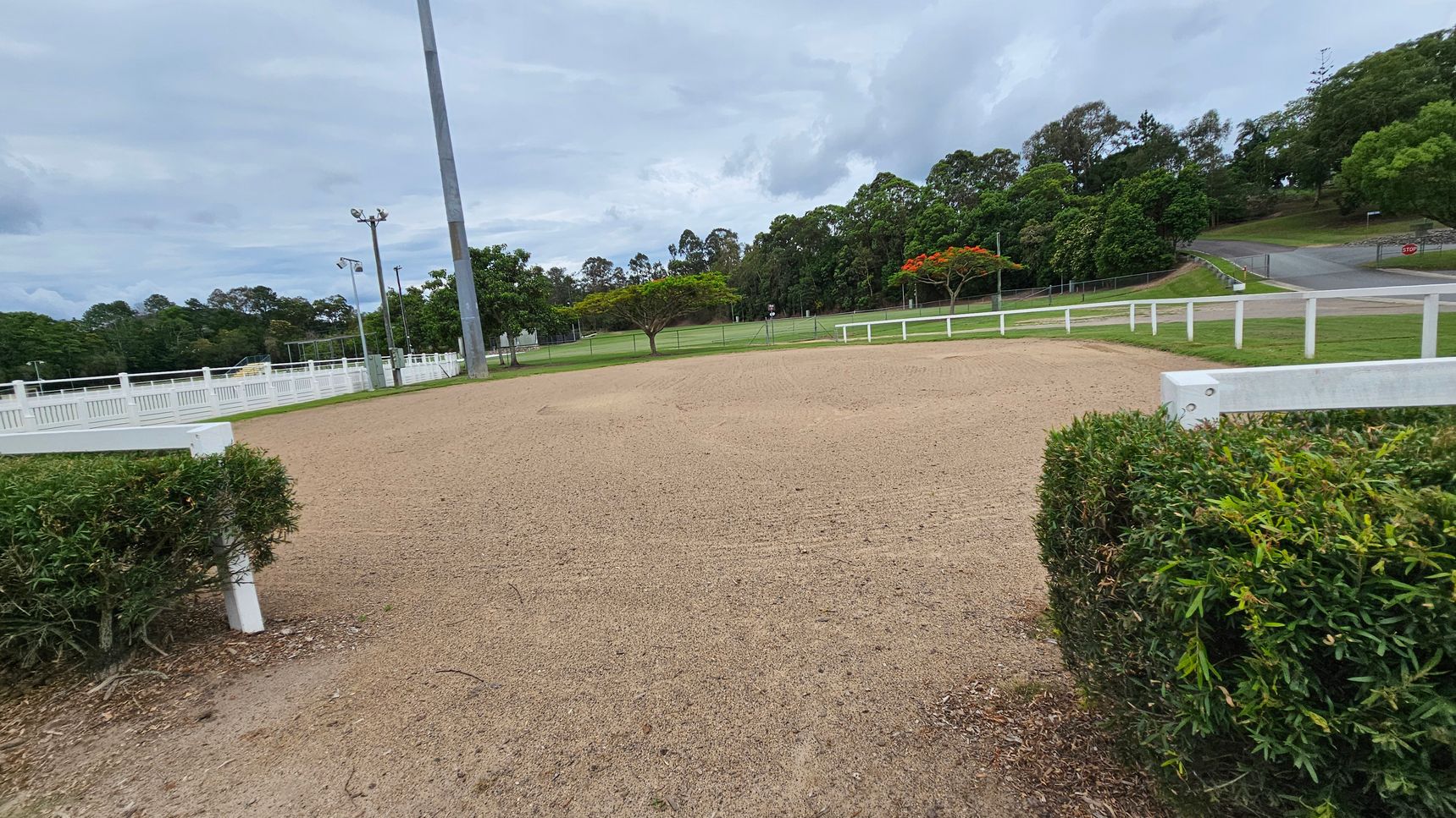 A sandy equestrian arena is bordered by a white fence and a neatly trimmed hedge in the foreground. In the background, there are several trees, some with green foliage and others with red flowers. A tall light pole stands to the left, and a paved road curves through the grassy area on the right. The scene is surrounded by more trees and open green spaces. A sandy equestrian arena is bordered by a white fence and a neatly trimmed hedge in the foreground. In the background, there are several trees, some with green foliage and others with red flowers. A tall light pole stands to the left, and a paved road curves through the grassy area on the right. The scene is surrounded by more trees and open green spaces.