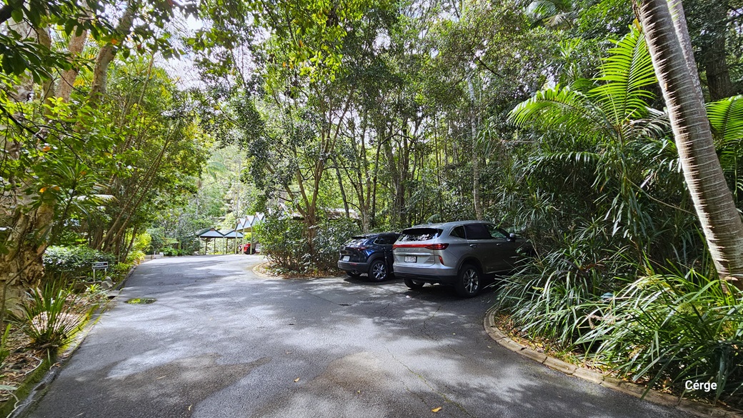 Upon arrival at Narrows Escape Rainforest Retreat, a designated car park on the right accommodates a grey and a black car. To the left, a small signage directs towards the office area. The surroundings boast large trees such as coconut and palm trees. Moving forward, shaded carports come into view. Upon arrival at Narrows Escape Rainforest Retreat, a designated car park on the right accommodates a grey and a black car. To the left, a small signage directs towards the office area. The surroundings boast large trees such as coconut and palm trees. Moving forward, shaded carports come into view.
