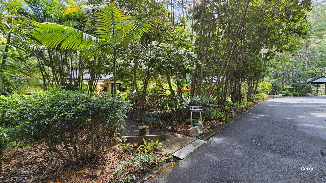 Upon arrival at Narrows Escape Rainforest Retreat, a small sign on the left guides towards the reception area. There is a bitumen path that leads to reception. The area is surrounded by diverse trees such as coconut and palm trees, along with shrubs. Further ahead, shaded carports come into view. Upon arrival at Narrows Escape Rainforest Retreat, a small sign on the left guides towards the reception area. There is a bitumen path that leads to reception. The area is surrounded by diverse trees such as coconut and palm trees, along with shrubs. Further ahead, shaded carports come into view.