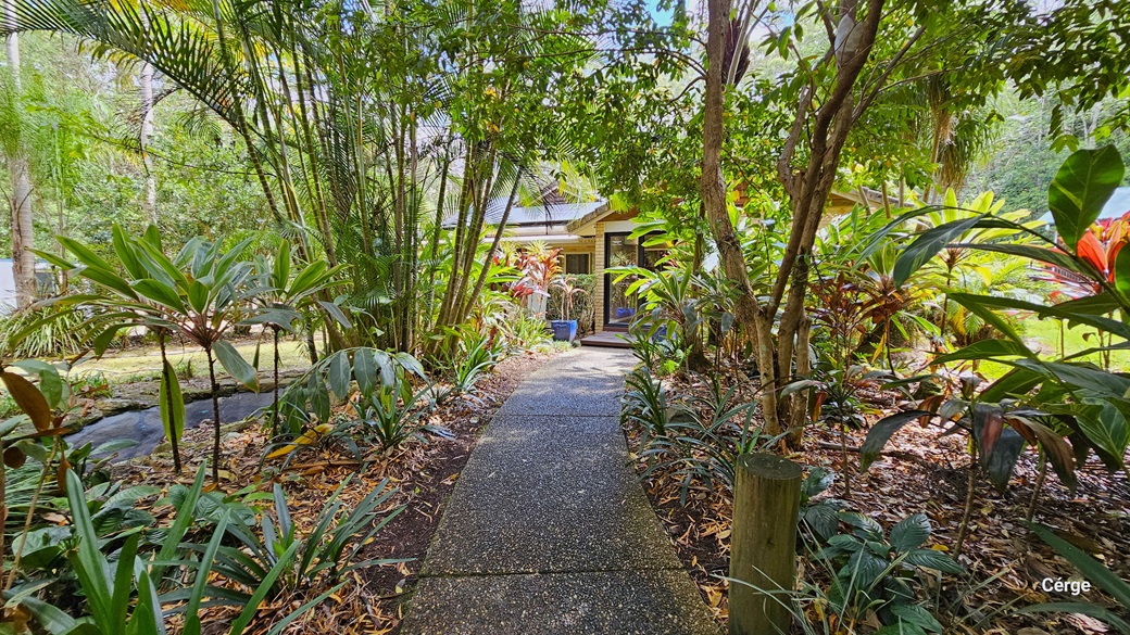 Upon arrival at Narrows Escape Rainforest Retreat, a bitumen path guides the reception area. The path is adorned with various ornamental plants and trees of diverse kinds and colors. A brick building with a glass door stands straight ahead, accompanied by an accessible ramp. Upon arrival at Narrows Escape Rainforest Retreat, a bitumen path guides the reception area. The path is adorned with various ornamental plants and trees of diverse kinds and colors. A brick building with a glass door stands straight ahead, accompanied by an accessible ramp.