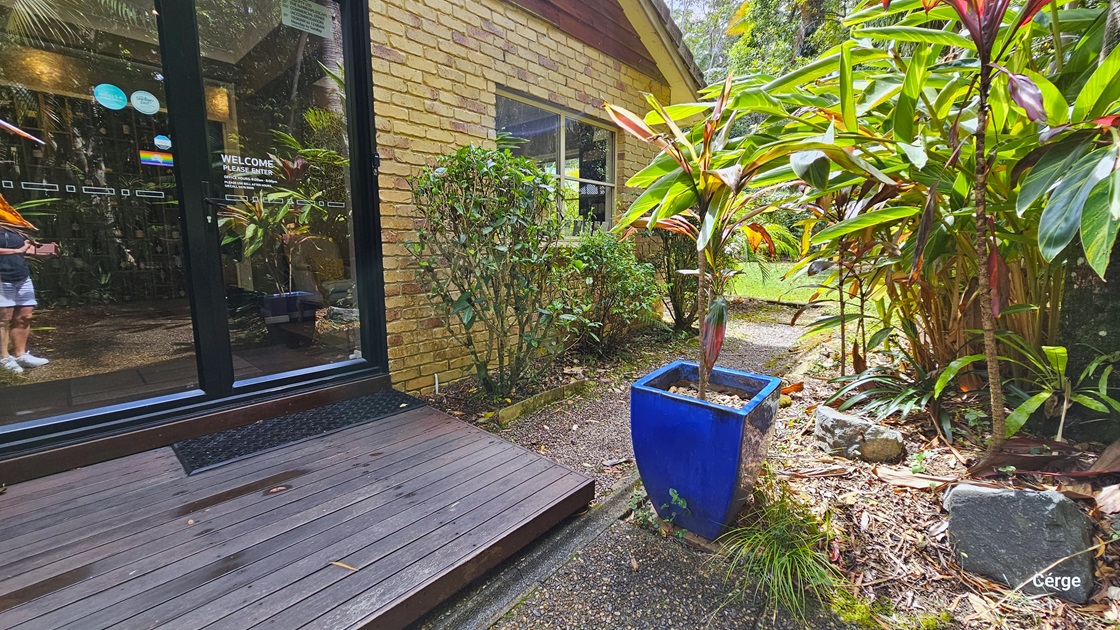 Upon arrival at Narrows Escape Rainforest Retreat, the bitumen path leads to a brown brick building with a sliding door that opens inward. Access to the reception area is facilitated by a small ramp and two steps, with a non-slip mat placed at the door. To the right, towering ornamental plants, including a banana fig plant in a blue planter box, are present. More shrubs border the side of the house, accompanied by huge stones and dry leaves on the right. Upon arrival at Narrows Escape Rainforest Retreat, the bitumen path leads to a brown brick building with a sliding door that opens inward. Access to the reception area is facilitated by a small ramp and two steps, with a non-slip mat placed at the door. To the right, towering ornamental plants, including a banana fig plant in a blue planter box, are present. More shrubs border the side of the house, accompanied by huge stones and dry leaves on the right.