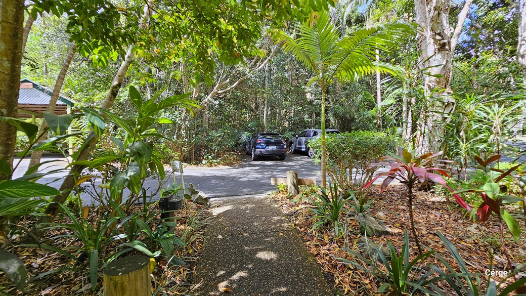 Upon arrival at Narrows Escape Rainforest Retreat, a small "Office" sign is on the left with a lamp post beside it. A bitumen path leads to reception, surrounded by diverse trees, including coconut and palm trees, along with ornamental plants and shrubs. Two cars are parked in the designated car park area on the right, and to the left, there is a shaded carport. Upon arrival at Narrows Escape Rainforest Retreat, a small "Office" sign is on the left with a lamp post beside it. A bitumen path leads to reception, surrounded by diverse trees, including coconut and palm trees, along with ornamental plants and shrubs. Two cars are parked in the designated car park area on the right, and to the left, there is a shaded carport.