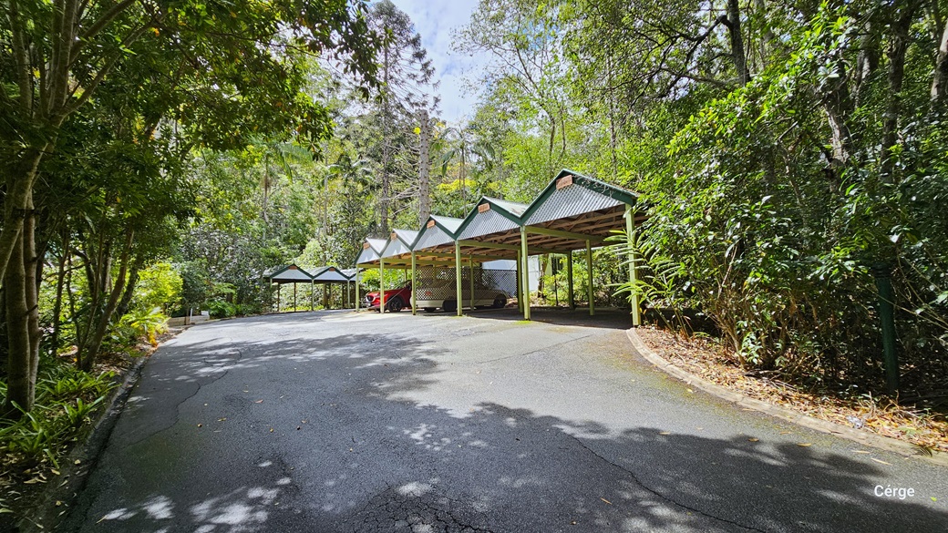 Upon arrival at Narrows Escape Rainforest Retreat, rows of shaded carports line the right side of the road. A red and a white car are currently parked. The area is surrounded by diverse trees, including coconut and palm trees, along with ornamental plants and shrubs. Further ahead, more shaded carports are visible. Upon arrival at Narrows Escape Rainforest Retreat, rows of shaded carports line the right side of the road. A red and a white car are currently parked. The area is surrounded by diverse trees, including coconut and palm trees, along with ornamental plants and shrubs. Further ahead, more shaded carports are visible.