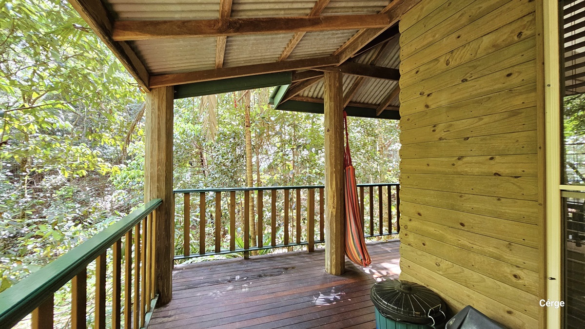 This view displays the verandah of Dove Cottage, featuring a timber plank wall design, glass windows, a corrugated roof, and timber floors. A green-painted metal railing encloses the verandah on the left, while two rubbish bins are situated on the right. A colourful hammock is suspended from one of the central pillars. The surroundings are adorned with tall trees of various kinds. This view displays the verandah of Dove Cottage, featuring a timber plank wall design, glass windows, a corrugated roof, and timber floors. A green-painted metal railing encloses the verandah on the left, while two rubbish bins are situated on the right. A colourful hammock is suspended from one of the central pillars. The surroundings are adorned with tall trees of various kinds.