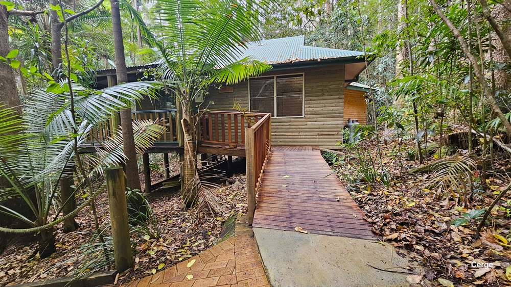 This view displays the exterior of Dove Cottage, featuring a wooden plank design and green corrugated roofing. The entrance ramp, made of timber with a steel railing, leads downwards. The brick path to the left declines, bordered by a rope bollard. The surroundings are adorned with palm trees, shrubs, trees, and vines, while dry leaves cover the ground. This view displays the exterior of Dove Cottage, featuring a wooden plank design and green corrugated roofing. The entrance ramp, made of timber with a steel railing, leads downwards. The brick path to the left declines, bordered by a rope bollard. The surroundings are adorned with palm trees, shrubs, trees, and vines, while dry leaves cover the ground.