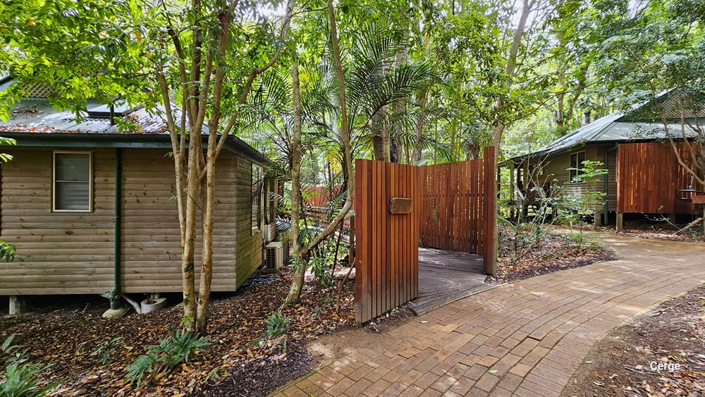 Accessing Kookaburra Cottage, a building with a wooden plank design wall and a green corrugated roof stands along the path. A separate path, bordered by a wooden fence with a sign, is present. The ground area is uneven, surrounded by trees, plants, and dry leaves covering the ground. To the right, another building with a wooden plank wall is visible. Accessing Kookaburra Cottage, a building with a wooden plank design wall and a green corrugated roof stands along the path. A separate path, bordered by a wooden fence with a sign, is present. The ground area is uneven, surrounded by trees, plants, and dry leaves covering the ground. To the right, another building with a wooden plank wall is visible.