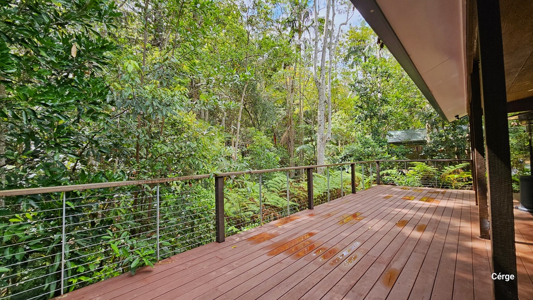 The verandah on the Rainforest Deck is a secure and spacious area with metal railings, featuring a floor made of timber planks. On the left side, there are various kinds of huge trees, some forest ferns, and other types of shrubs. Some of the tree branches extend towards the railing. Further ahead is another building with a green roof. The verandah on the Rainforest Deck is a secure and spacious area with metal railings, featuring a floor made of timber planks. On the left side, there are various kinds of huge trees, some forest ferns, and other types of shrubs. Some of the tree branches extend towards the railing. Further ahead is another building with a green roof.