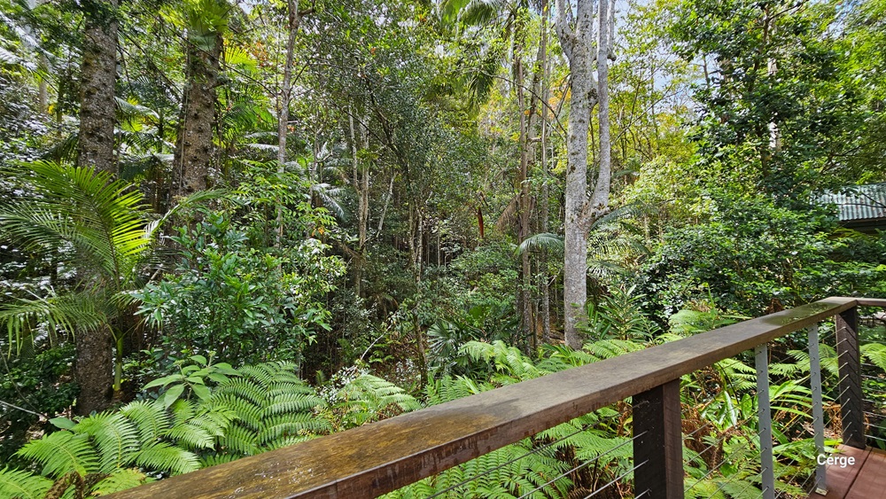The spacious area is secured by metal railings and has a floor made of timber planks. On the left side, there are various kinds of huge trees, some forest ferns, and other types of shrubs. Some of the tree branches extend towards the railing. Further ahead is another building with a green roof. The spacious area is secured by metal railings and has a floor made of timber planks. On the left side, there are various kinds of huge trees, some forest ferns, and other types of shrubs. Some of the tree branches extend towards the railing. Further ahead is another building with a green roof.