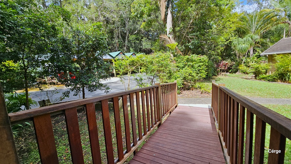 This section of the Rainforest Deck features the entrance, accessible via a timber ramp with a gentle incline and metal railings. At the end of the ramp, a concrete path leads in either direction. To the right is a grassy area with a view of a section of the reception building. To the left is the road, along with shaded carports. Tall trees of different kinds, shrubs, and grass surround the area. This section of the Rainforest Deck features the entrance, accessible via a timber ramp with a gentle incline and metal railings. At the end of the ramp, a concrete path leads in either direction. To the right is a grassy area with a view of a section of the reception building. To the left is the road, along with shaded carports. Tall trees of different kinds, shrubs, and grass surround the area.