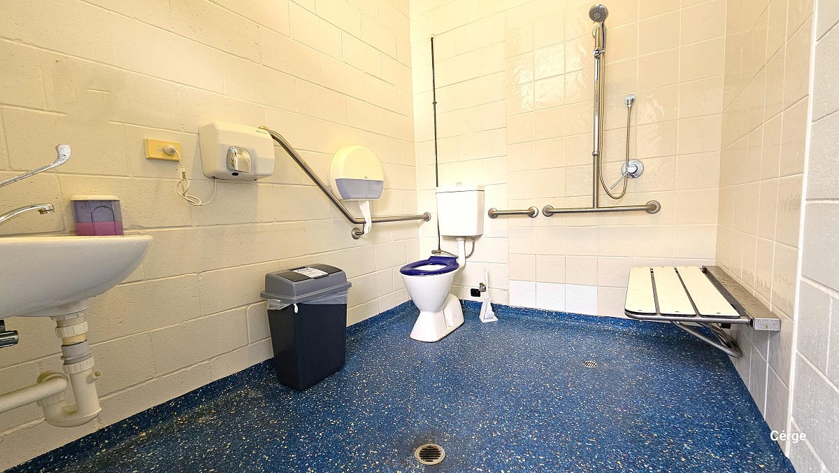 The accessible toilet at Nerang Aquatic Centre has a unique dark blue floor with white dot irregular patterns and a white tile wall. On the left side of the door is the hand basin and a hand soap dispenser with a purple liquid hand soap. There is also a hand dryer on the left wall, along with the tissue dispenser. In front of the toilet with a blue toilet cover is a grey garbage bin. Next to the toilet is the shower section, grab bars, and a wall-mounted white shower chair. The accessible toilet at Nerang Aquatic Centre has a unique dark blue floor with white dot irregular patterns and a white tile wall. On the left side of the door is the hand basin and a hand soap dispenser with a purple liquid hand soap. There is also a hand dryer on the left wall, along with the tissue dispenser. In front of the toilet with a blue toilet cover is a grey garbage bin. Next to the toilet is the shower section, grab bars, and a wall-mounted white shower chair.