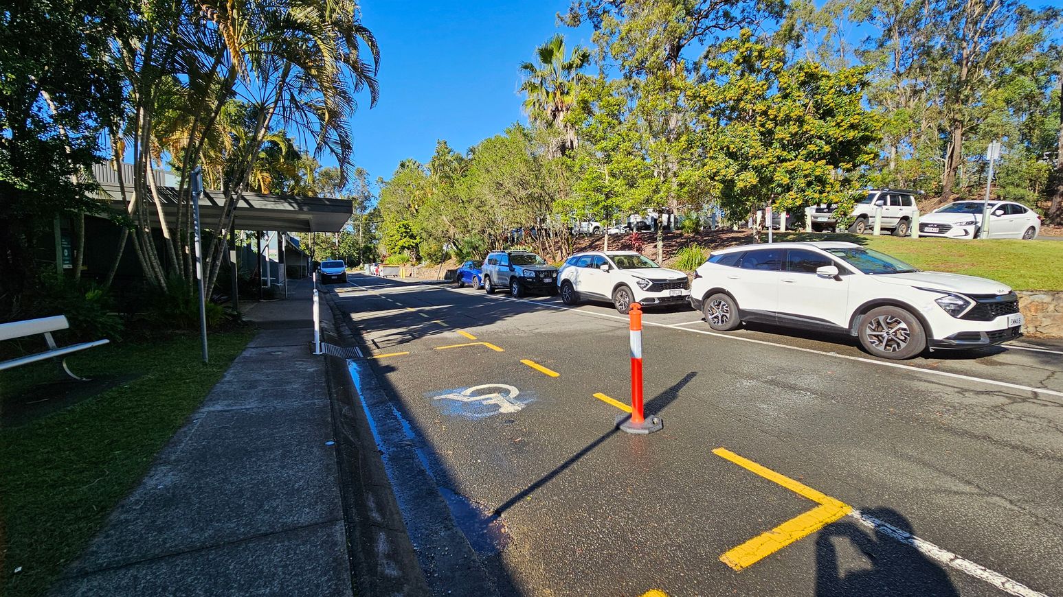 A street scene with a row of parked cars on the right, including a white SUV. A pavement runs along the left side, bordered by grass and a bench. Palm trees and other greenery are visible on the left, with a building partially obscured by foliage. A traffic cone and a disabled parking symbol are painted on the road. The background features more trees and parked cars on a grassy incline. Shadows are cast on the pavement, indicating sunlight. A street scene with a row of parked cars on the right, including a white SUV. A pavement runs along the left side, bordered by grass and a bench. Palm trees and other greenery are visible on the left, with a building partially obscured by foliage. A traffic cone and a disabled parking symbol are painted on the road. The background features more trees and parked cars on a grassy incline. Shadows are cast on the pavement, indicating sunlight.