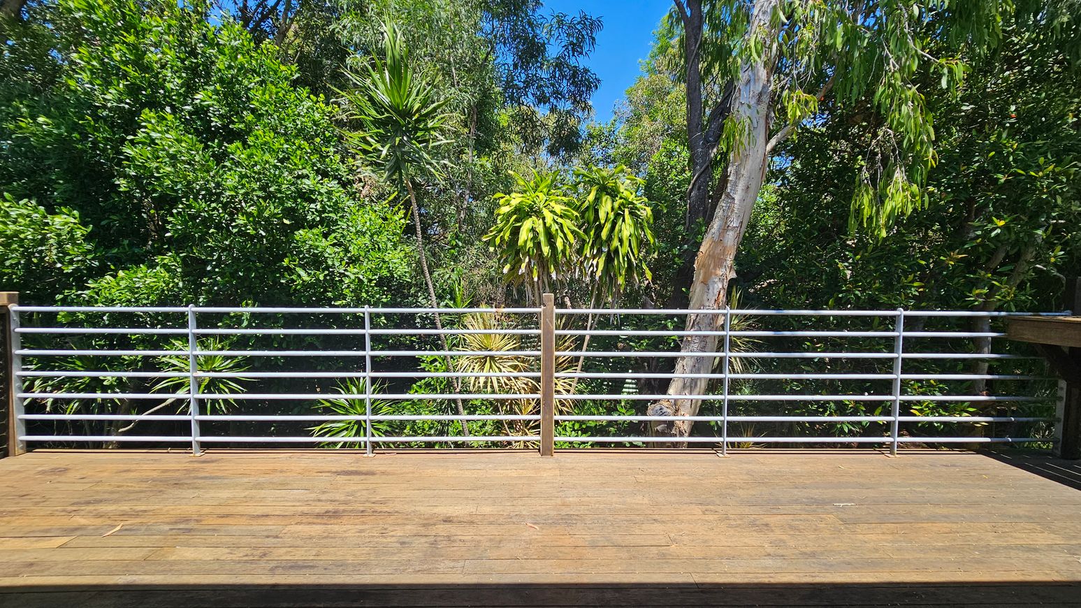 A wooden deck with a metal railing runs horizontally across the foreground. In the background, dense green foliage includes various trees and plants, such as tall, slender trees and bushy shrubs. The scene is well-lit, suggesting a sunny day. A wooden deck with a metal railing runs horizontally across the foreground. In the background, dense green foliage includes various trees and plants, such as tall, slender trees and bushy shrubs. The scene is well-lit, suggesting a sunny day.