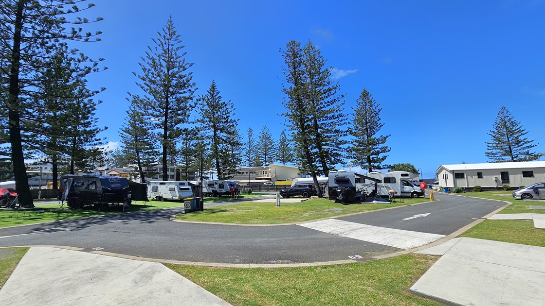 Several caravans are parked on artificial turfs, with vehicles attached to some. In the foreground, a paved road with a footpath is visible. On the right, more caravans are parked on the grass. Tall pine trees stand prominently in the centre, with additional caravans separating the left and right sections. Low-set buildings and more pine trees are visible on the far right. Several caravans are parked on artificial turfs, with vehicles attached to some. In the foreground, a paved road with a footpath is visible. On the right, more caravans are parked on the grass. Tall pine trees stand prominently in the centre, with additional caravans separating the left and right sections. Low-set buildings and more pine trees are visible on the far right.