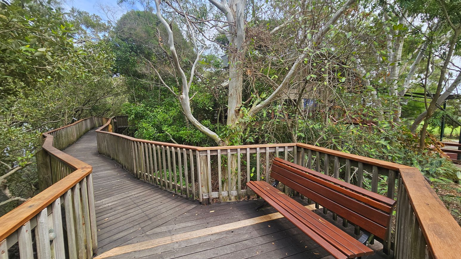 A wooden boardwalk curves to the left, surrounded by dense greenery and trees. On the right, a wooden bench is positioned along the railing. The boardwalk and railing are made of weathered wood with a reddish-brown hue. The area is lush with various shades of green foliage, and tree trunks are visible throughout. The scene is tranquil and natural, with the boardwalk providing a clear path through the vegetation.